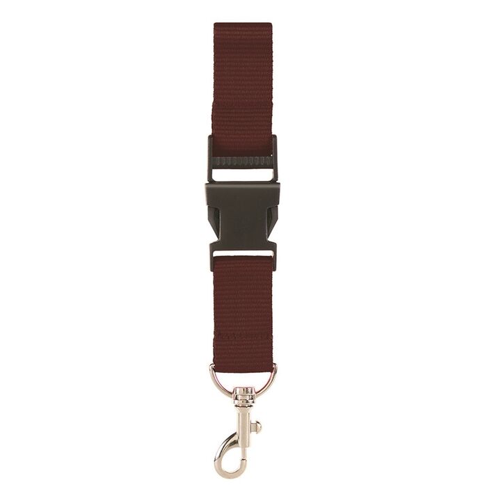 Lanyard